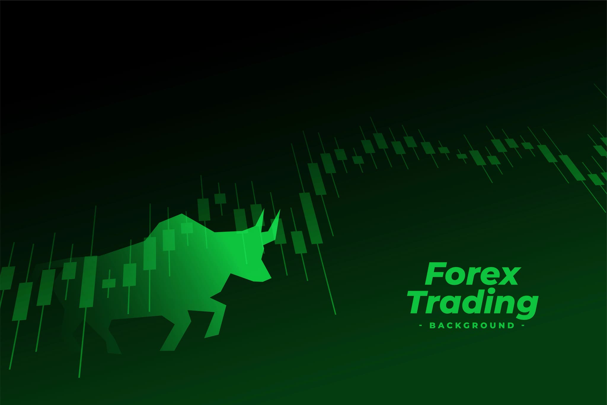 Top 7 Forex Terms Every Trader Should Know