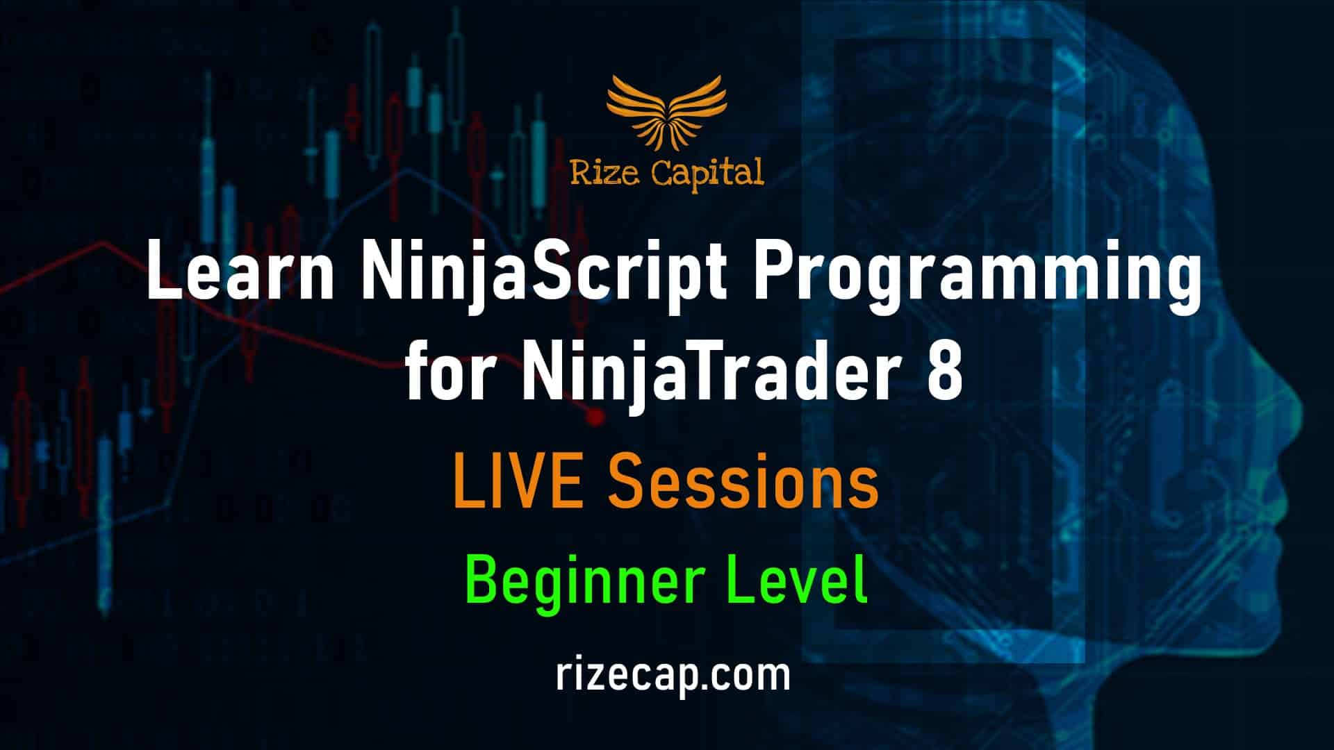 NinjaScript Training Beginner Level