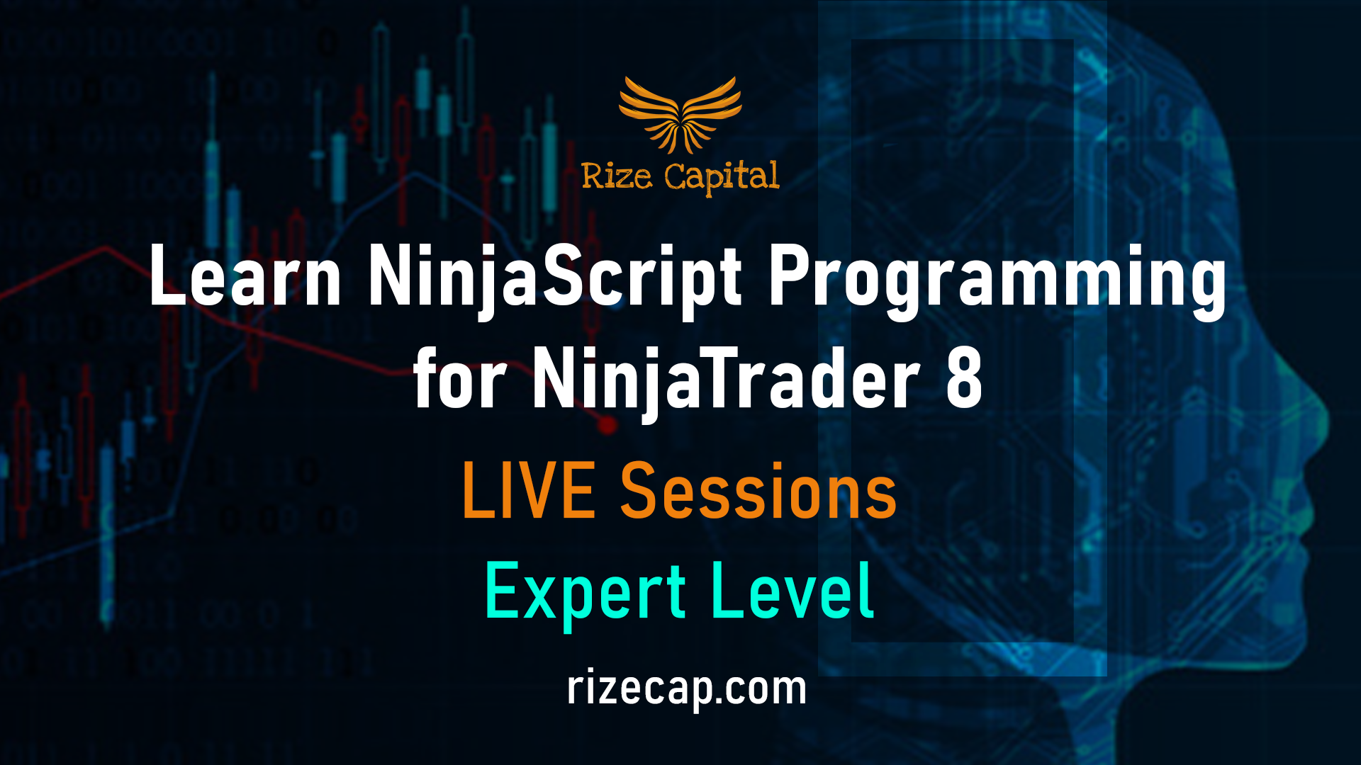 NinjaScript training Expert Level