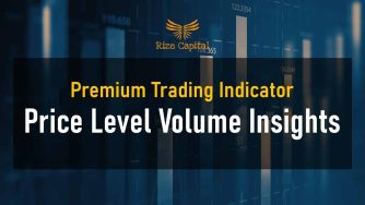 Price Level Volume Insights indicator