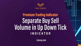 Separate Buy Sell Volume in Up Down Tick Premium Indicator